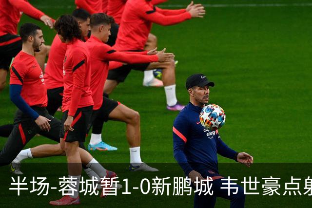 半场-蓉城暂1-0新鹏城 韦世豪点射韦林顿造点双方对抗激烈5人染黄